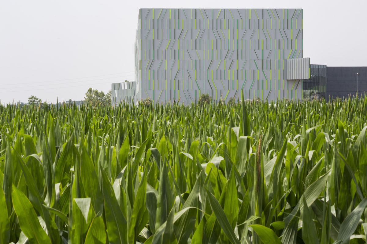Pedrali is ‘greener’ than ever
