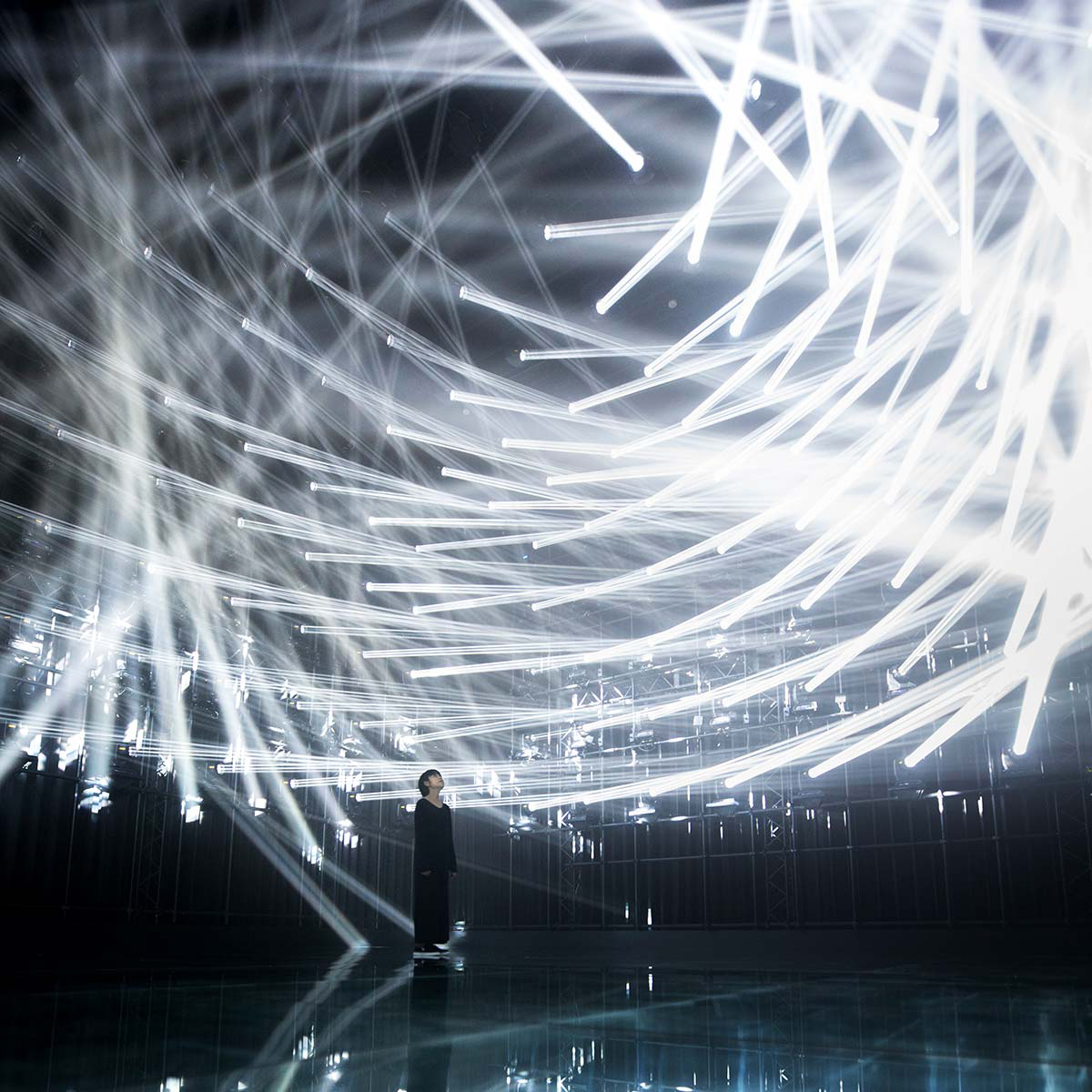 MORI Building Digital Art Museum