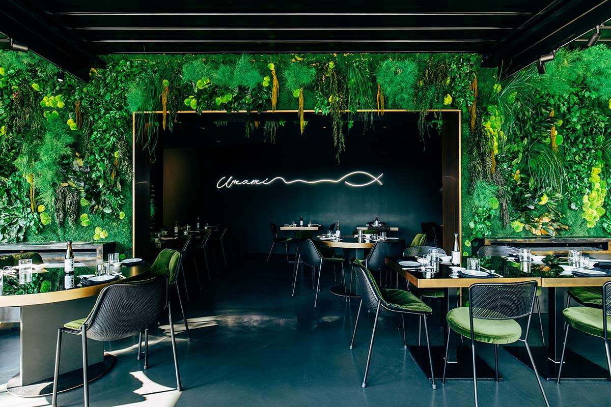 Umami: attraction in opposites