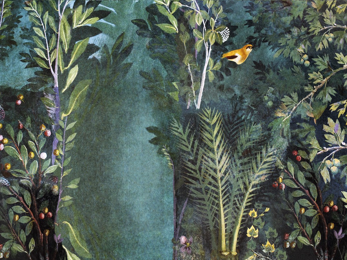Contemporary design and nature: a call for ideas