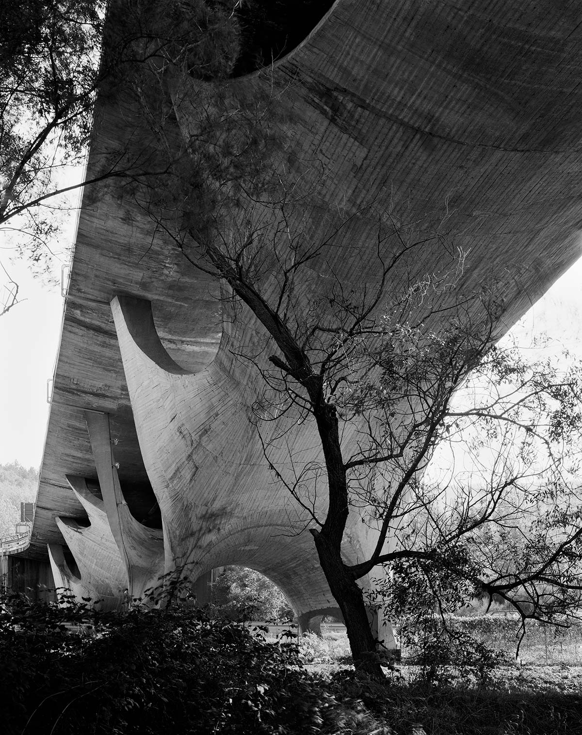 Musmeci, Ponte sul Basento, Italy, 2015