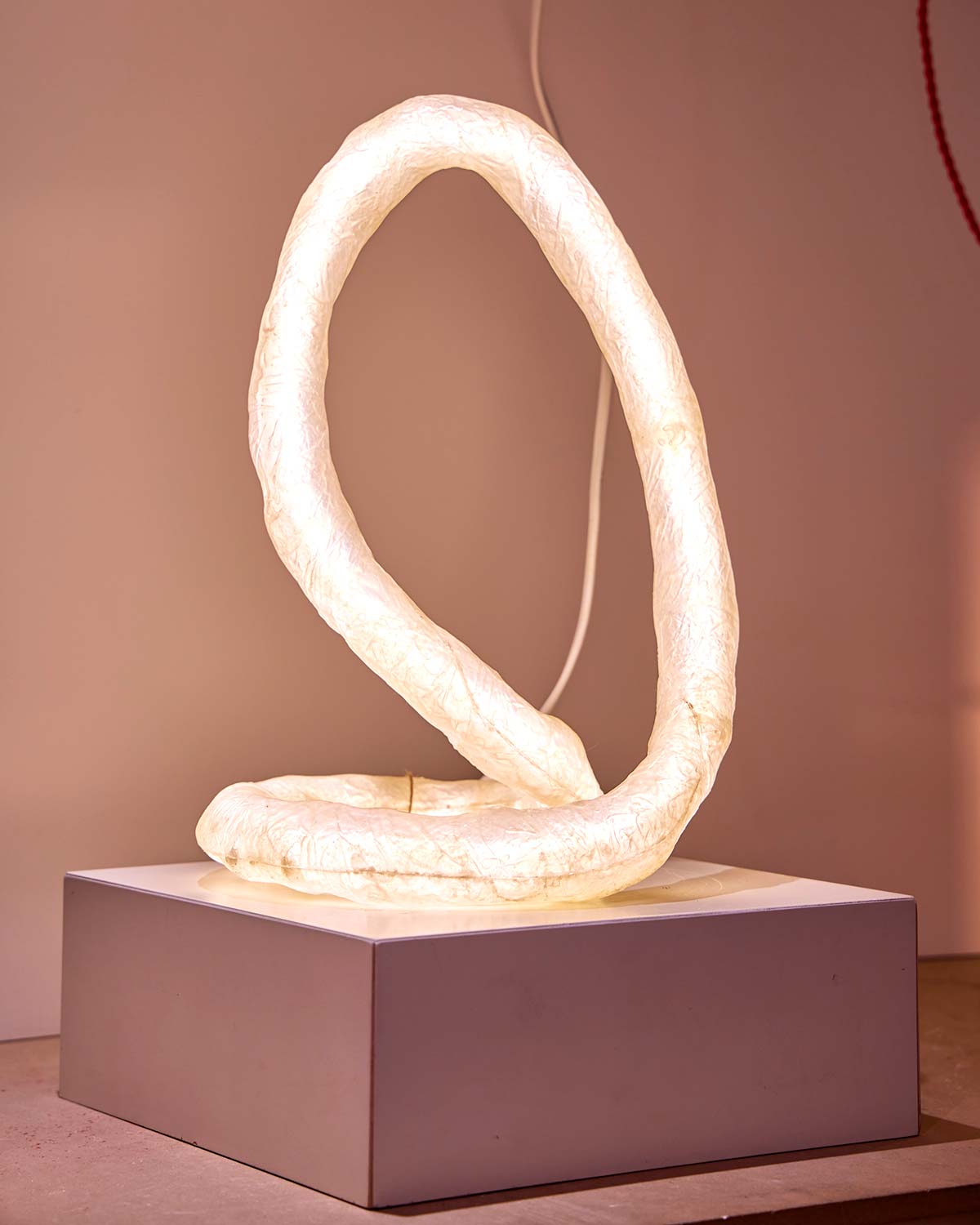 Infinity, Infinighty collection by Andreína Raventós