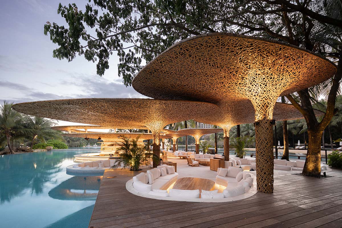 The beach club growing “Under the Tree”