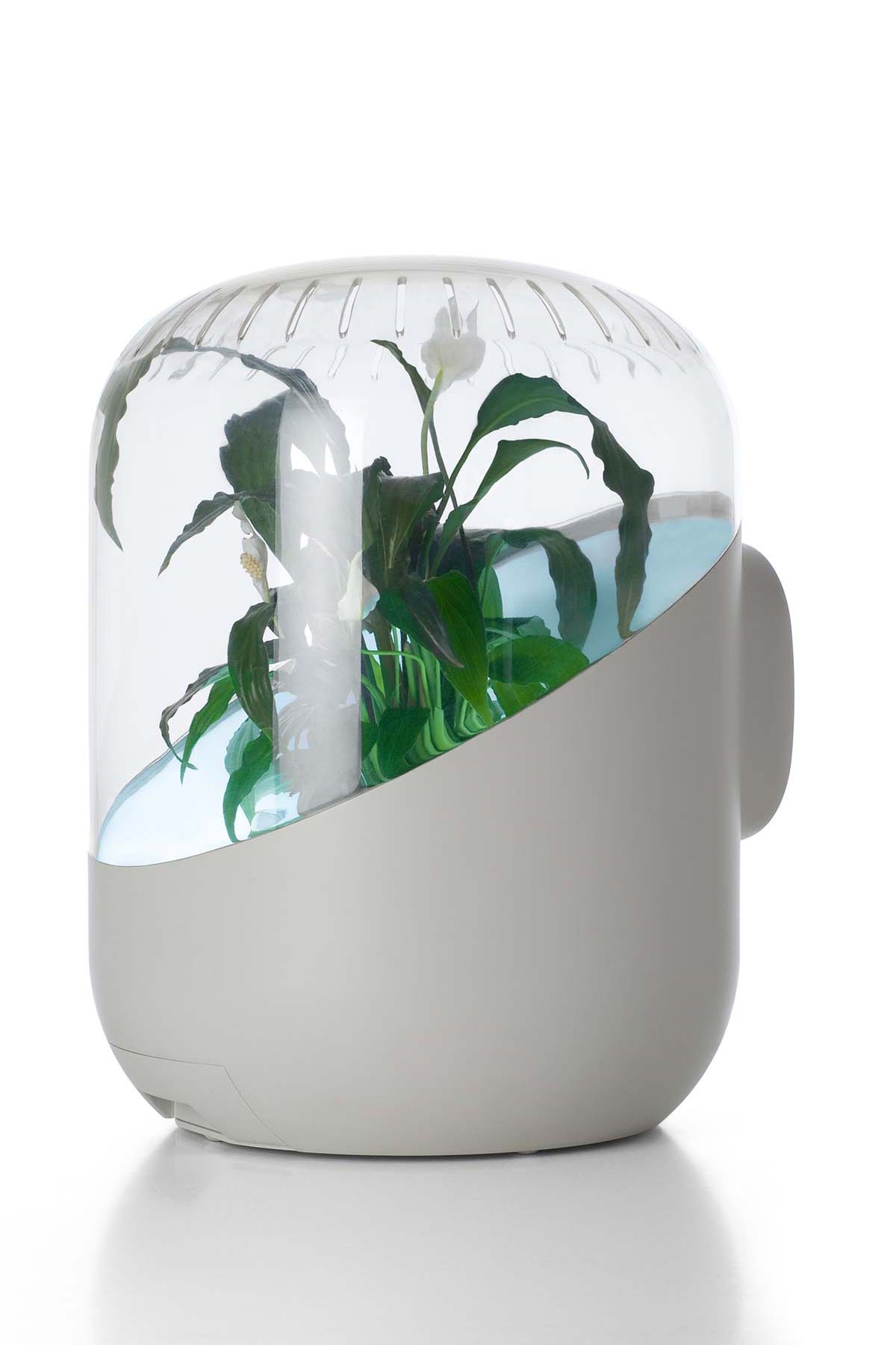 Andrea, Living Air Purifier - Photo © Veronique Huyghe