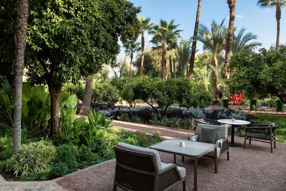 Within the "Secret Gardens" of Marrakech