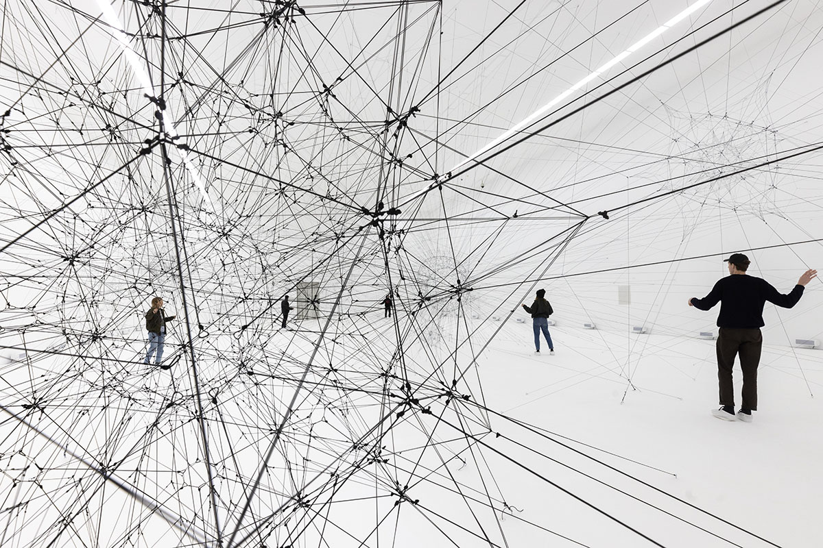 Complementarities | Tomás Saraceno