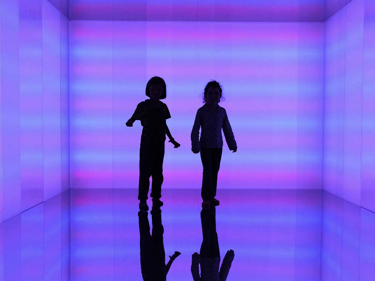 Ambienti 1956 - 2010. Environments by Women Artists II