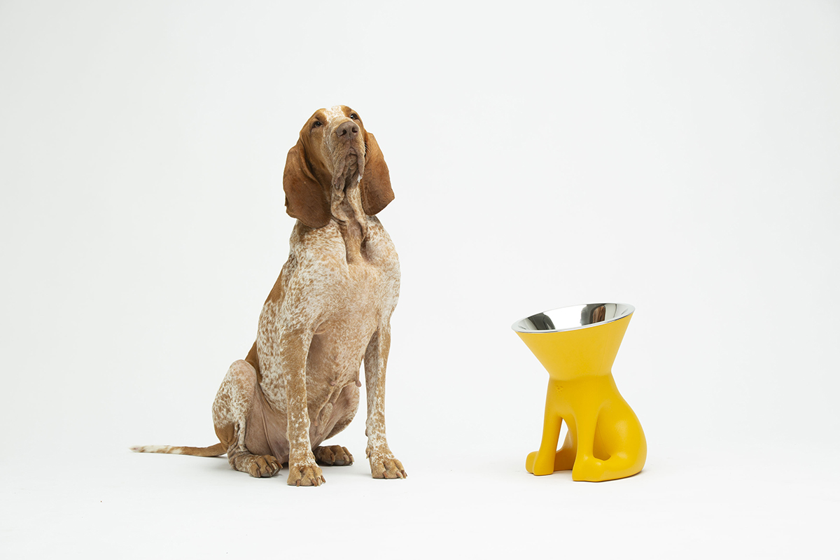 Elizabeth by United Pets, design Favaretto&Partners