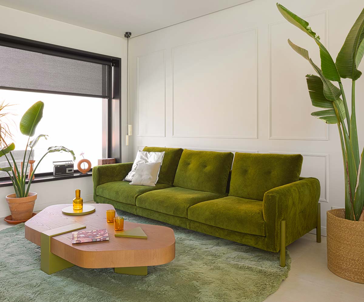 Sancal | Momic