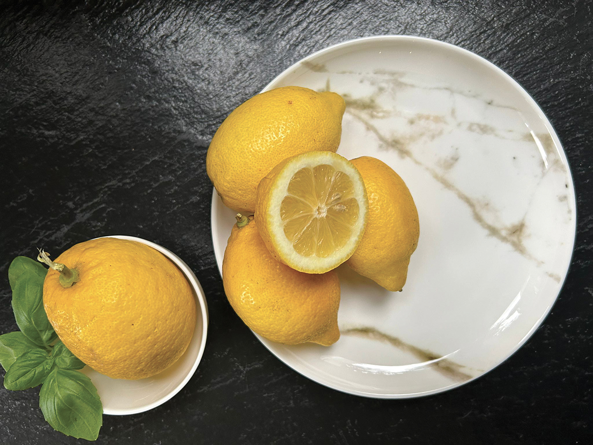 Marmo collection by Geminiano Cozzi
