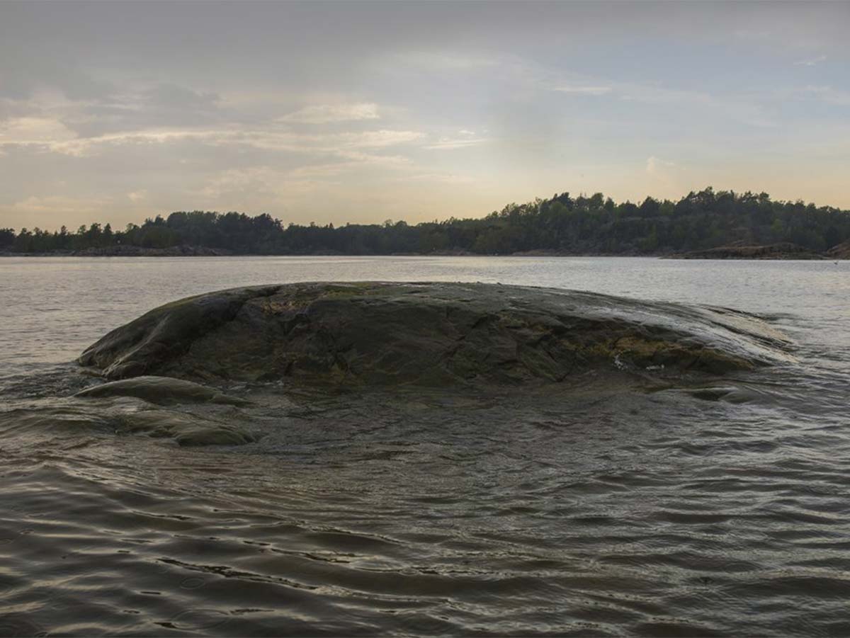A “slow biennial”