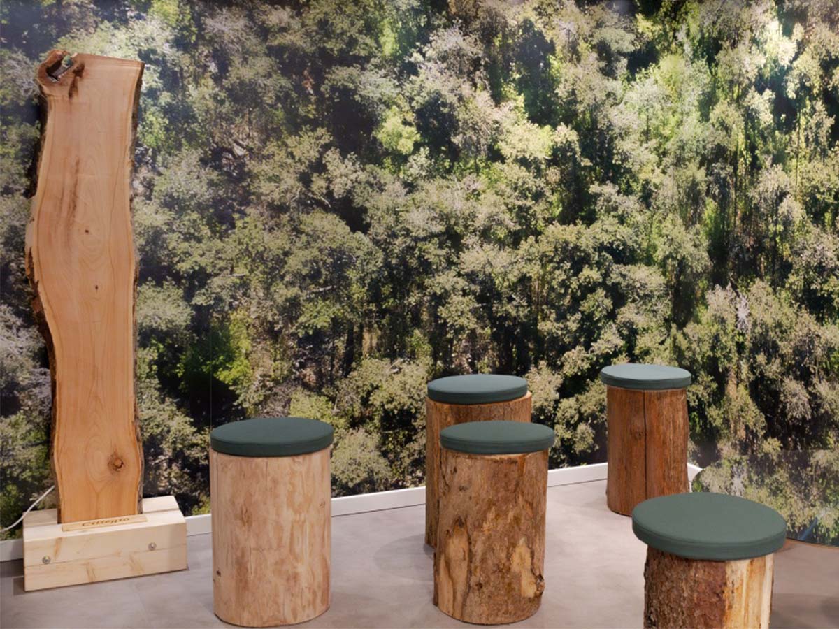 Foresta in Città: Trieste’s new green heart