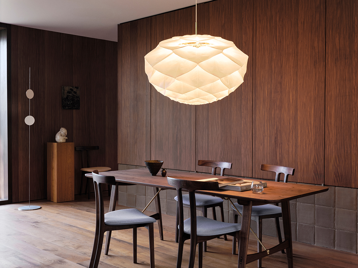 The organic geometry of light